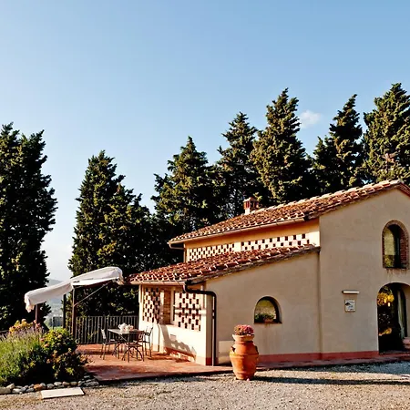 Mea - Teloni *